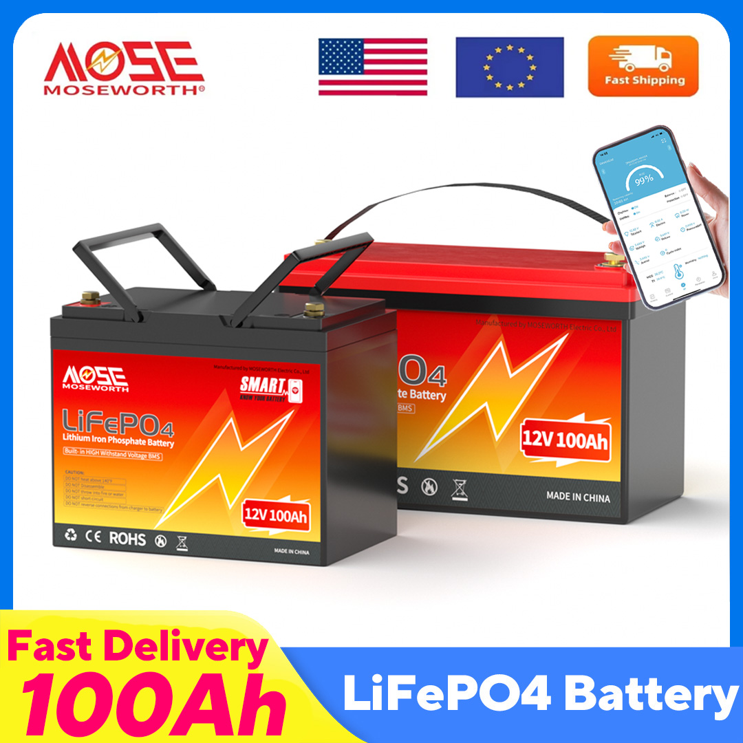 MOSEWORTH LiFePO4 12V 100Ah Ak – Lifepo4 12V 100Ah Bms Bluetooth Bewertung und Preis